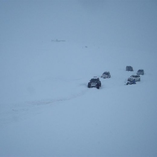 crop-27.02.2010_032__large_