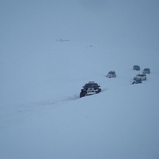 crop-27.02.2010_033__large_