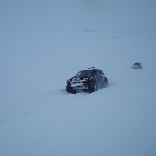 crop-27.02.2010_034__large_