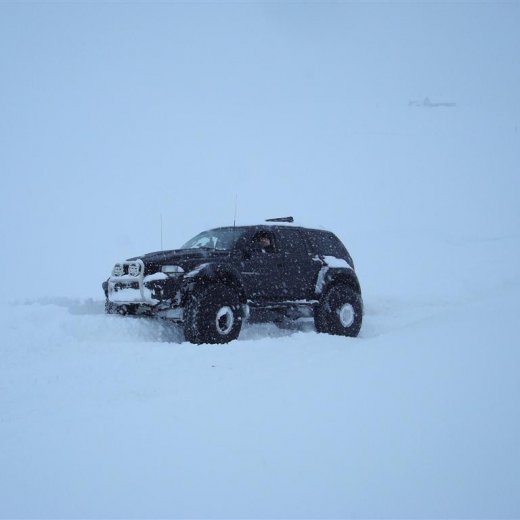 crop-27.02.2010_035__large_