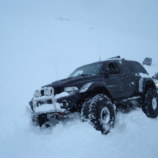 crop-27.02.2010_039__large_