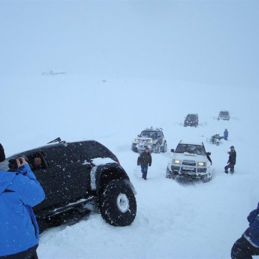 crop-27.02.2010_040__large_