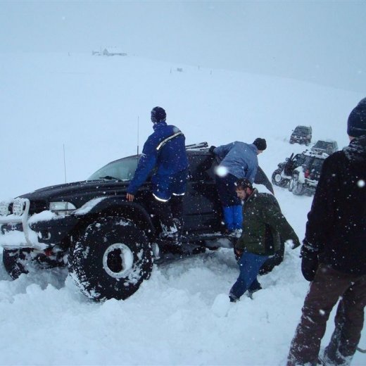 crop-27.02.2010_045__large_