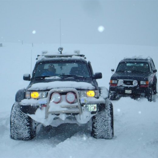 crop-27.02.2010_047__large_