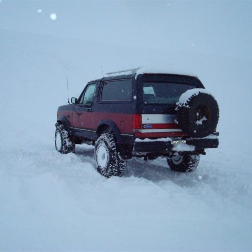 crop-27.02.2010_049__large_