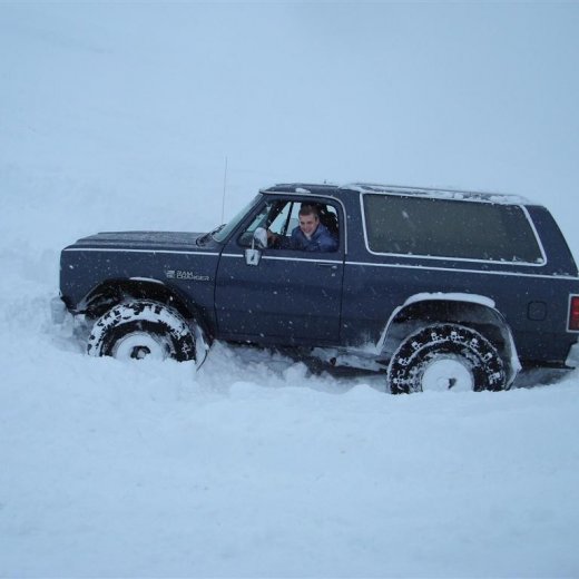 crop-27.02.2010_051__large_