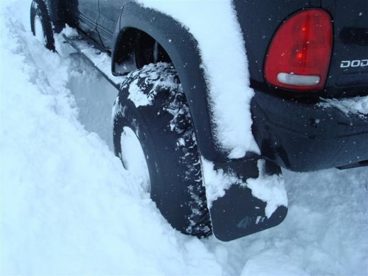 27.02.2010_026__large_