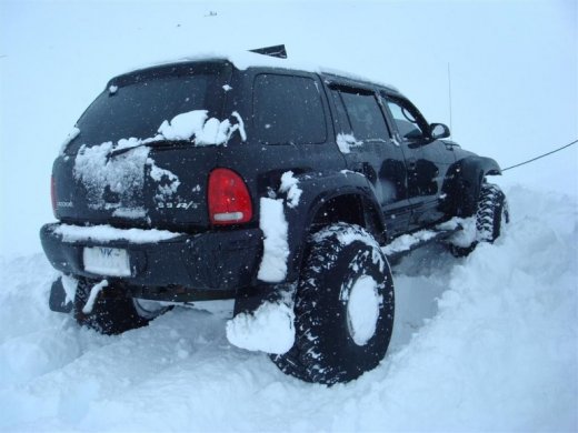 27.02.2010_016__large_