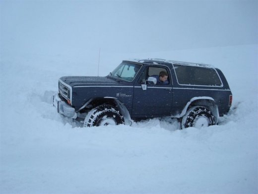 27.02.2010_050__large_