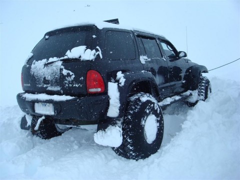 27.02.2010_016__large_