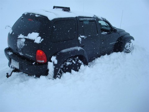 27.02.2010_037__large_