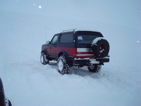 27.02.2010_049__large_