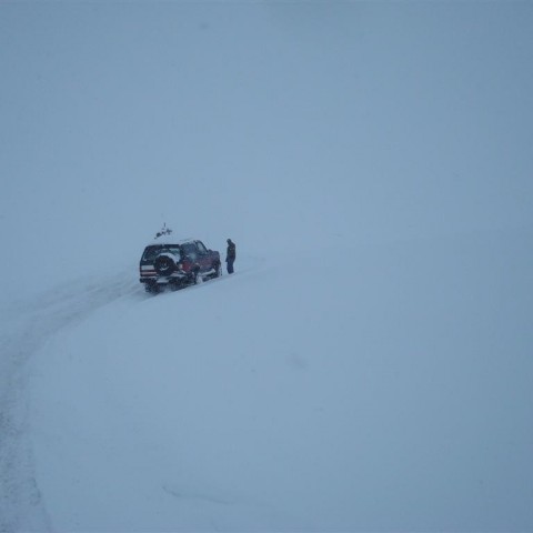 crop-27.02.2010_013__large_