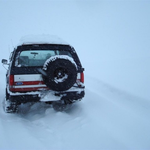 crop-27.02.2010_014__large_