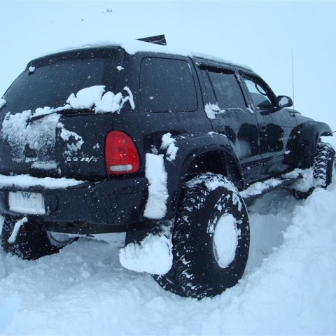 crop-27.02.2010_016__large_