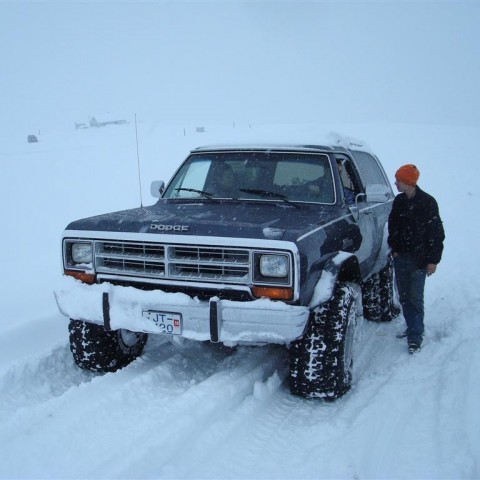 crop-27.02.2010_020__large_