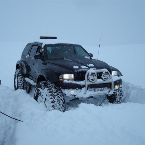 crop-27.02.2010_022__large_