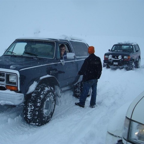 crop-27.02.2010_024__large_