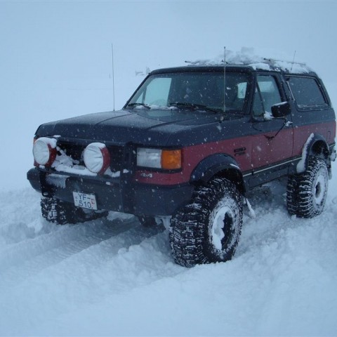 crop-27.02.2010_025__large_