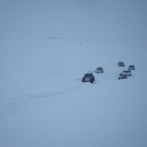 crop-27.02.2010_032__large_