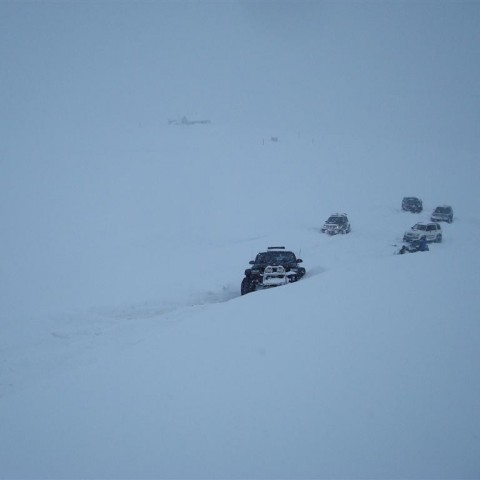 crop-27.02.2010_033__large_