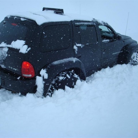 crop-27.02.2010_037__large_