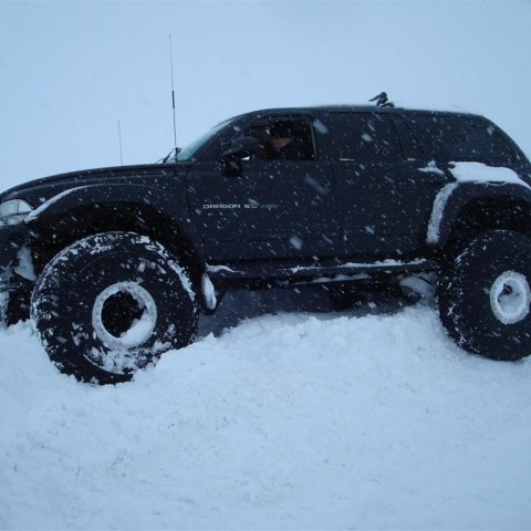 crop-27.02.2010_038__large_