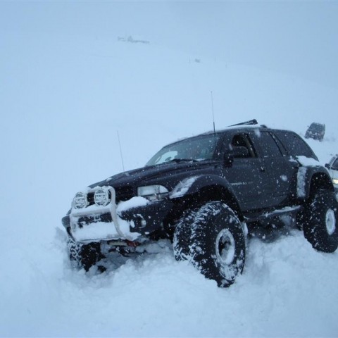 crop-27.02.2010_039__large_