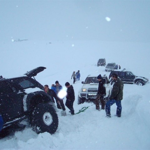 crop-27.02.2010_041__large_