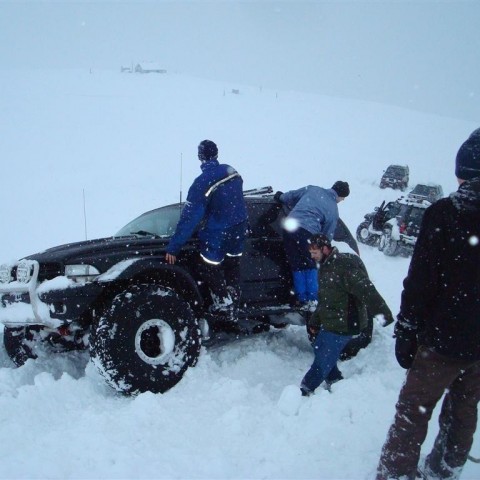 crop-27.02.2010_045__large_