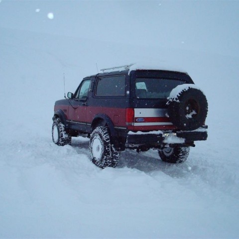 crop-27.02.2010_049__large_