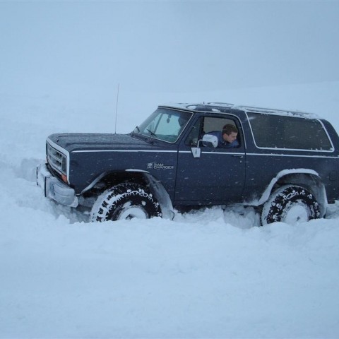 crop-27.02.2010_050__large_