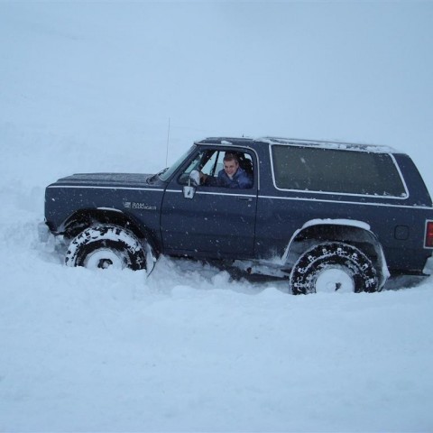 crop-27.02.2010_051__large_