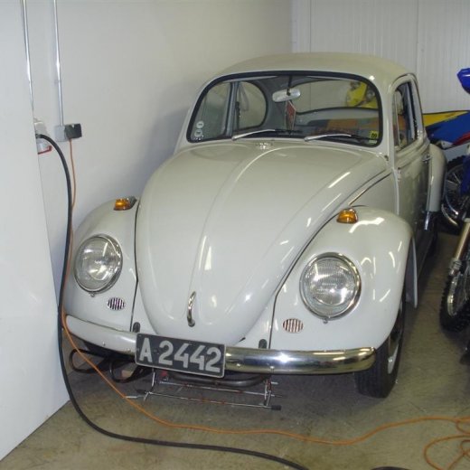 crop-08.04.2009_y_065__large_