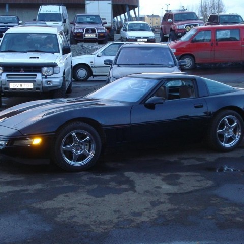 crop-08.04.2009_y_035__large_