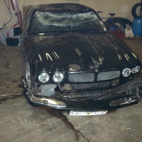 crop-08.04.2009_y_058__large_