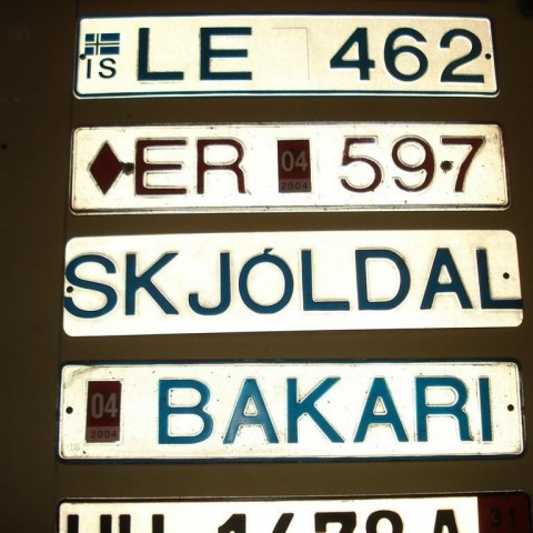 crop-08.04.2009_y_063__large_