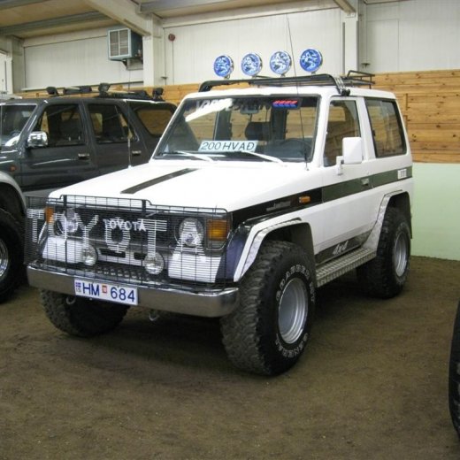 crop-img_6257__large_