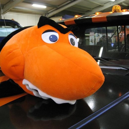 crop-img_6261__large_