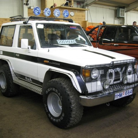 crop-img_6231__large_