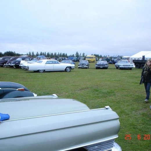 crop-fornbilamot2010_003__large_