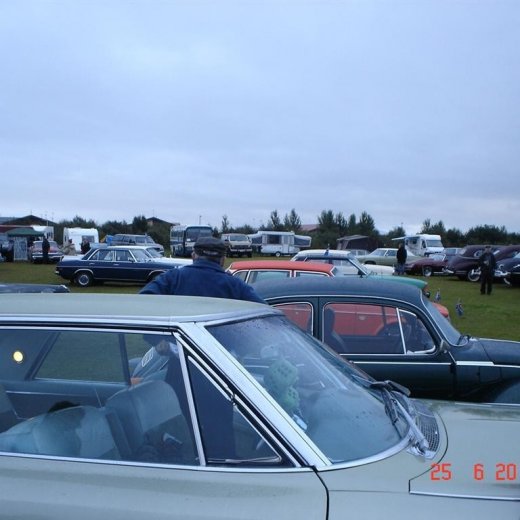 crop-fornbilamot2010_004__large_