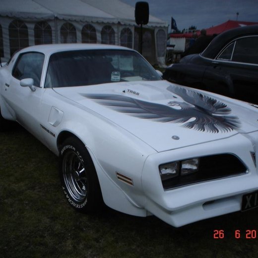 crop-fornbilamot2010_007__large_