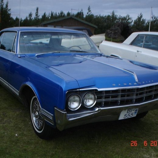 crop-fornbilamot2010_018__large_