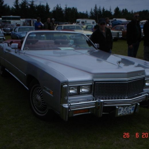 crop-fornbilamot2010_024__large_