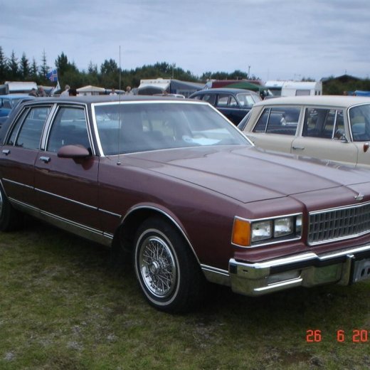 crop-fornbilamot2010_028__large_