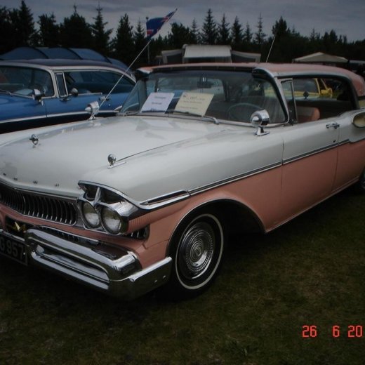 crop-fornbilamot2010_054__large_