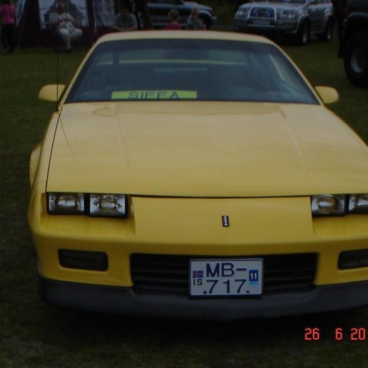 crop-fornbilamot2010_057__large_