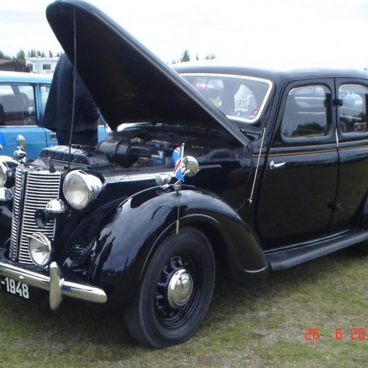 crop-fornbilamot2010_064__large_