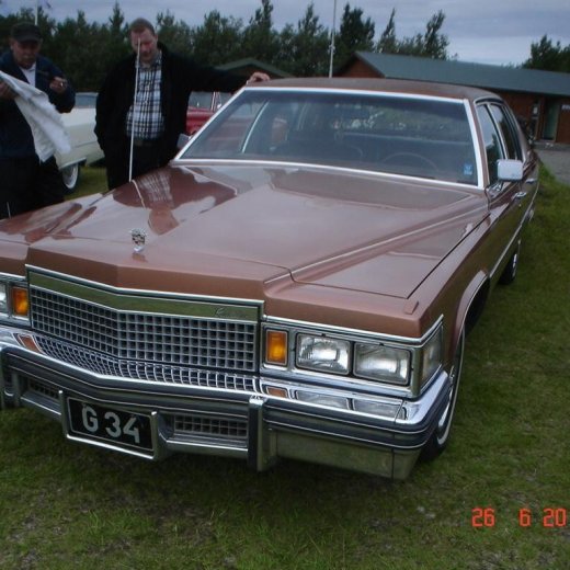 crop-fornbilamot2010_070__large_